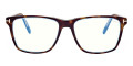 Shiny Bilayer Transparent Blue and Classic Havana/T Logo / Blue Block