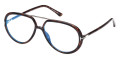 Shiny Dark Havana/T Logo / Blue Block