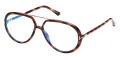 Shiny Blonde Havana/T Logo / Blue Block