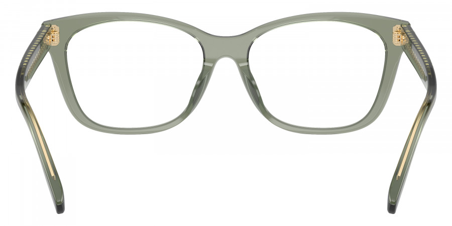 Color: Transparent Sage (1941) - Tory Burch TY2136U194151