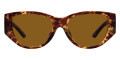 Dark Tortoise / Brown Polarized Solid