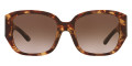 Dark Tortoise / Brown Gradient