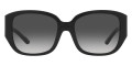 Black / Dark Gray Gradient