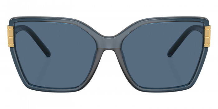 Tory Burch™ Eleanor TY9076U 199180 58 - Transparent Blue