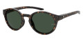 Dark Havana / Green