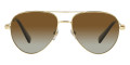 Gold / Gradient Brown Polar