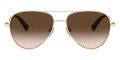 Pale Gold / Gradient Brown