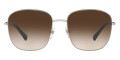 Gold / Gradient Brown