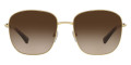 Pale Gold / Brown Gradient