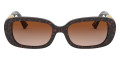 Havana / Gradient Brown