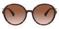 Havana / Gradient Brown