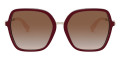 Bordeaux / Gradient Brown