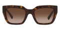 Havana / Brown Gradient