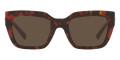 Red Havana / Brown