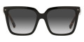 Black / Gray Gradient
