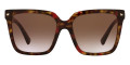 Red Havana / Brown Gradient