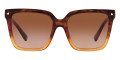 Gradient Havana Orange / Brown Gradient