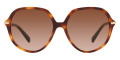 Light Havana / Brown Gradient