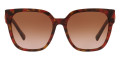Red Havana / Gradient Brown