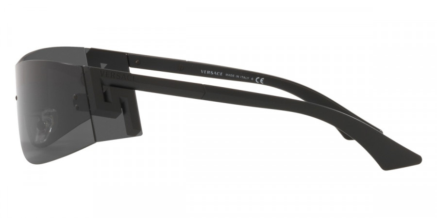 Versace™ - VE2241