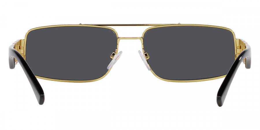 Versace™ - Greca VE2257