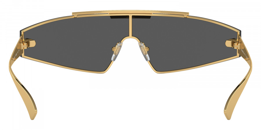 Versace™ - VE2265