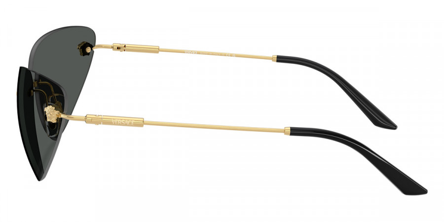 Versace™ - Medusa VE2281