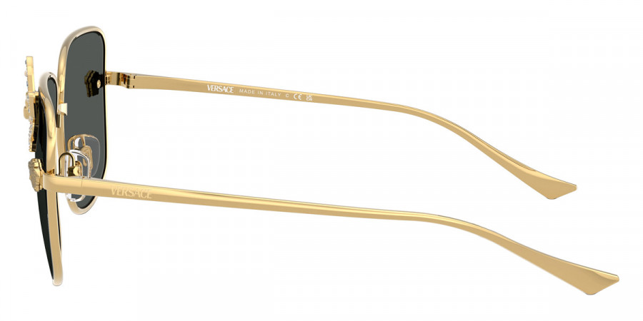 Versace™ - Medusa VE2282