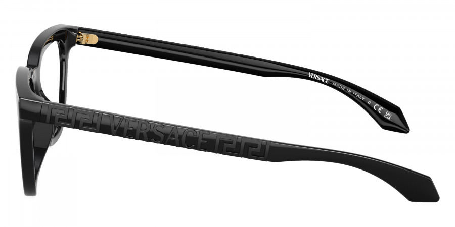 Versace™ - VE3352U
