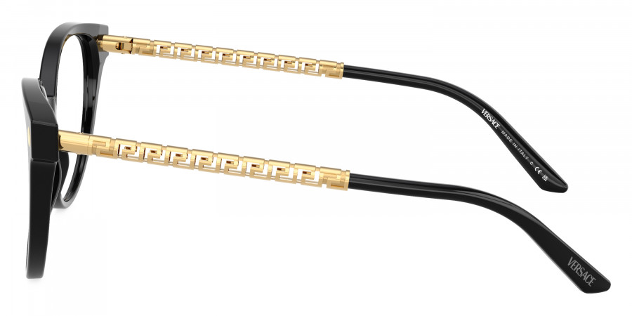 Versace™ - VE3353F