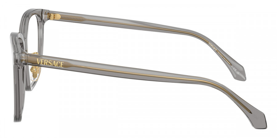 Versace™ - VE3378D