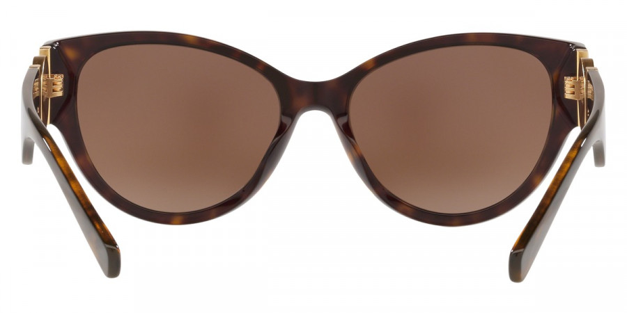 Color: Havana (108/73) - Versace VE4368108/7356