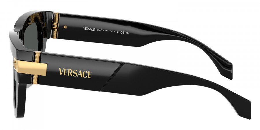 Versace™ - VE4464F