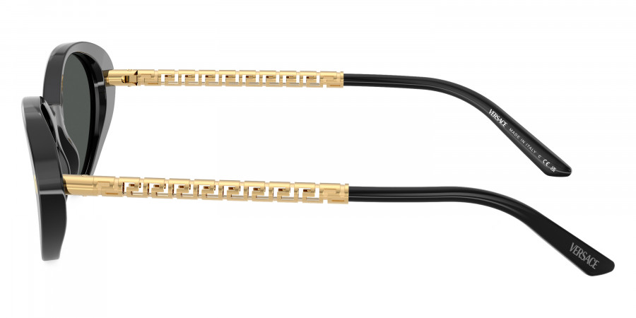 Versace™ - VE4469