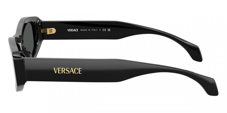 Versace™ - Signature VE4487