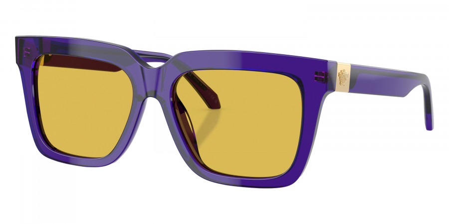VERSACE™ - VE4498F