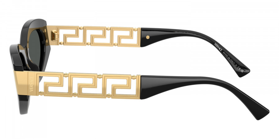 VERSACE™ - VE4501F