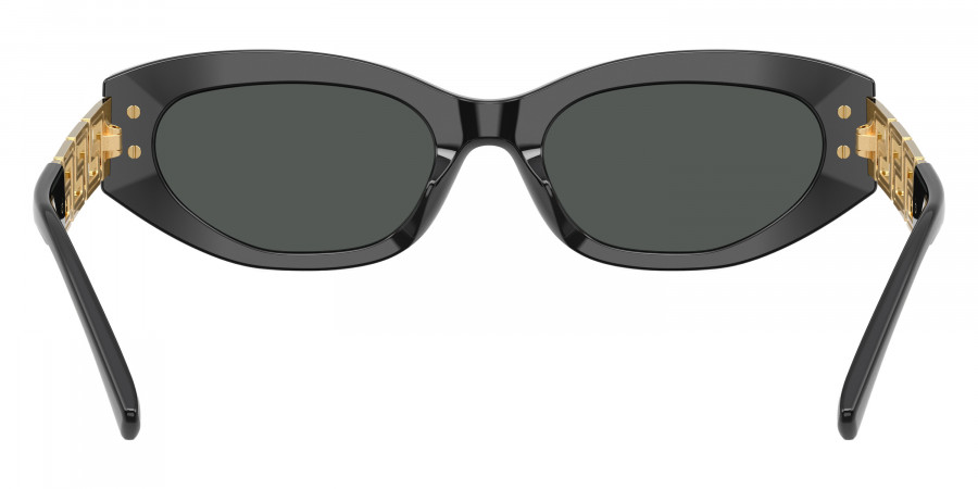 VERSACE™ - VE4501F