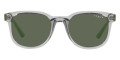 Transparent Gray / Dark Green