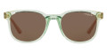 Transparent Green / Dark Brown