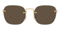 Brushed Gold / Dark Brown