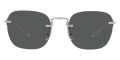 Brushed Silver / Dark Gray