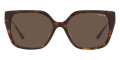 Dark Havana / Dark Brown