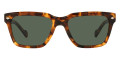 Havana Honey / Dark Green