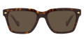Dark Havana / Dark Brown