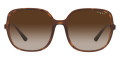 Top Havana/Transparent Brown / Brown Gradient