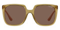 Transparent Green / Dark Brown