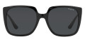 Black / Dark Gray