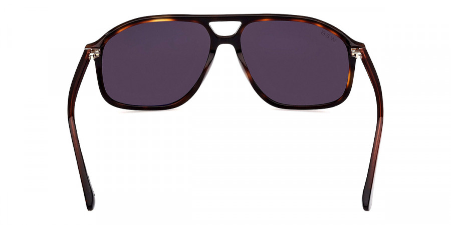 Web™ - WE0338