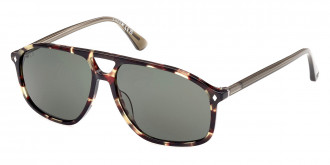 Web™ WE0338 55N 59 - Colored Havana